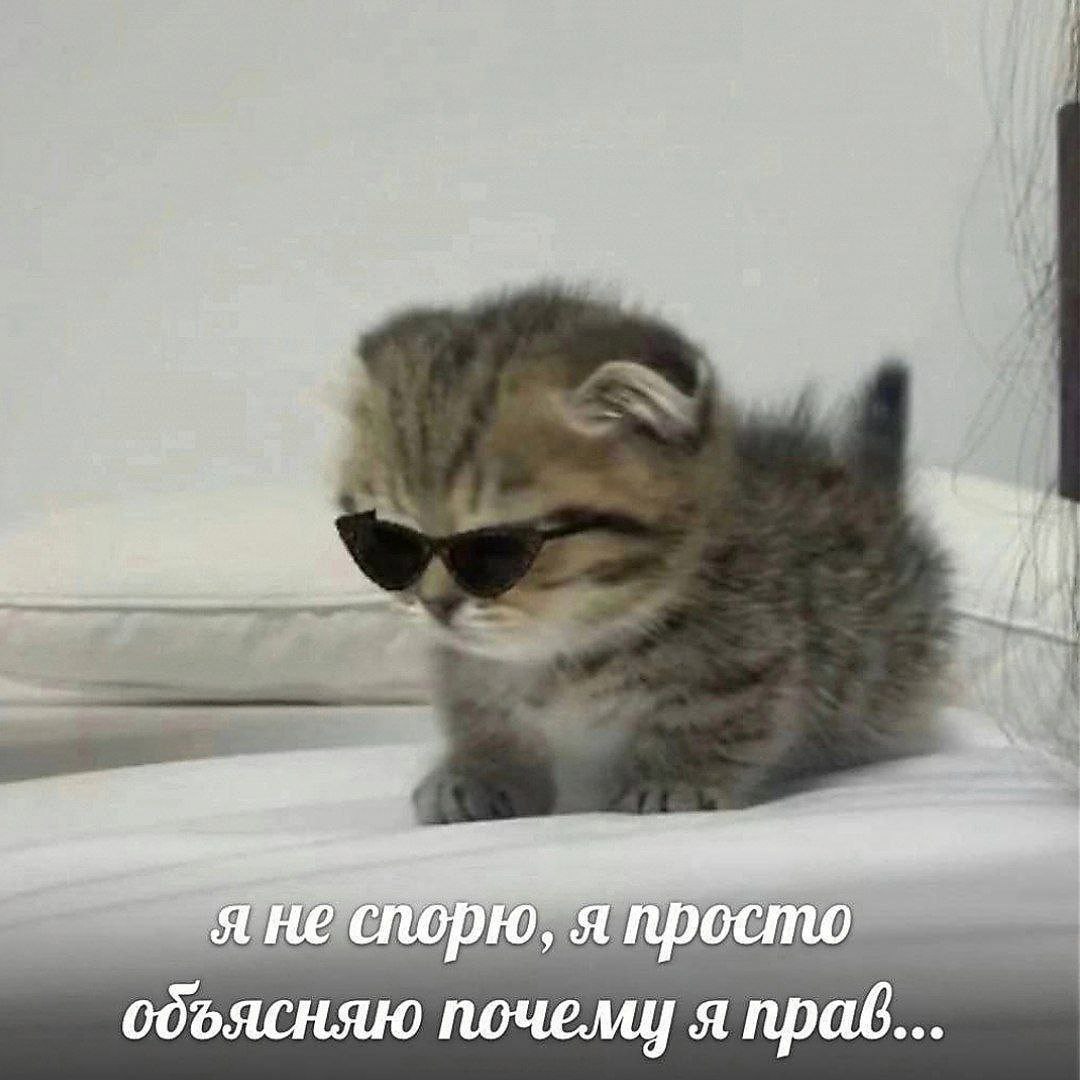я не спорю, я просто почему я