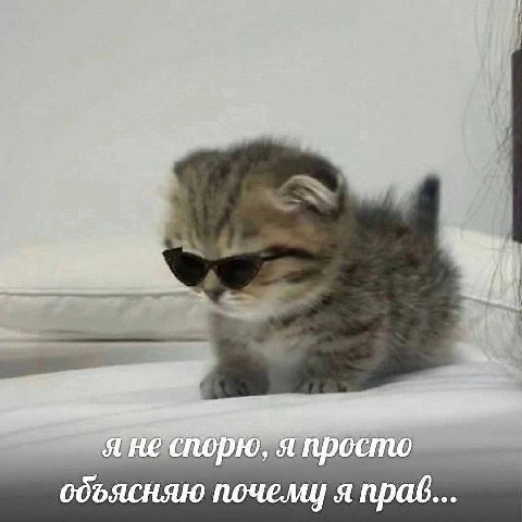я не спорю, я просто почему я