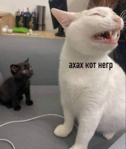 4, ахах кот негр cmt