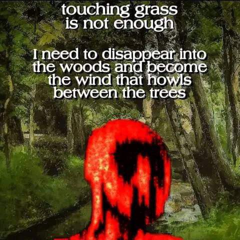 touching grass is not enough the woods an I need to disappear into есоте the wind that howls between the trees