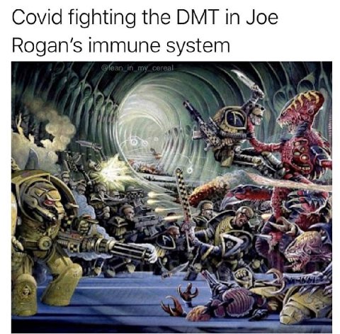 Сома fighting the DMT in Joe Rogan’s immune system A a>