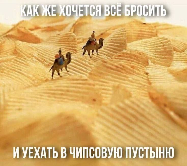 TCA ВСЕ БРОСИТЬ 2 we “a YEXATb В ЧИПСОВУЮ ПУСТЫНЮ