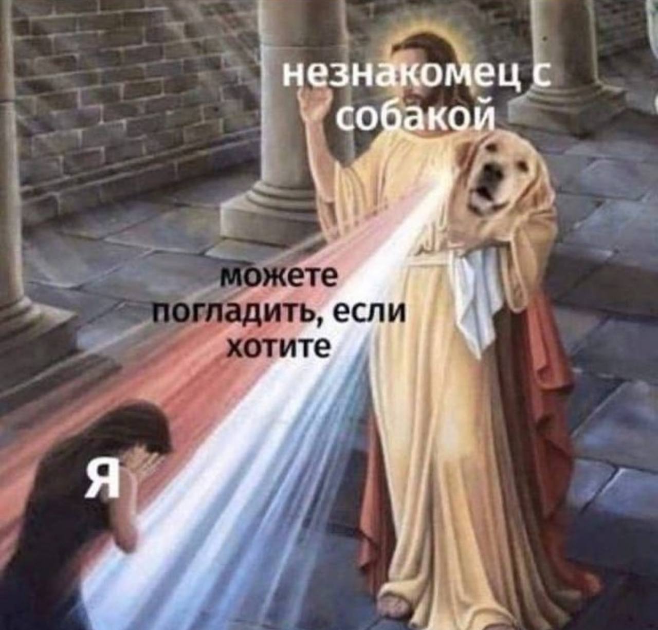 незнакомец с собакои
