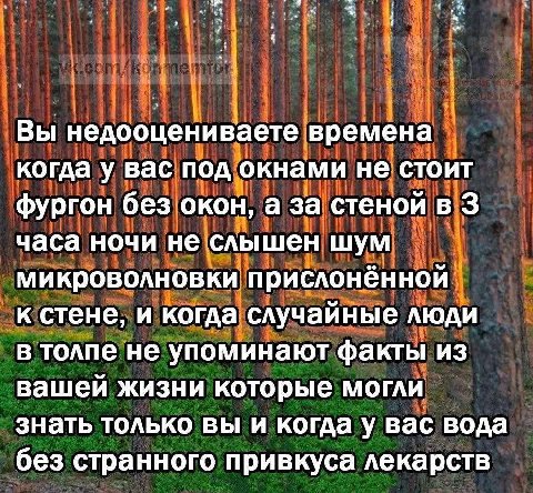 Вы недооцениваете времена когда у вас под окнами не стоит фургон без окон, а за стеной в 3 часа ночи не слышен шум микроволновки прислонённой к стене, и когда случайные люди в толпе не упоминают факты