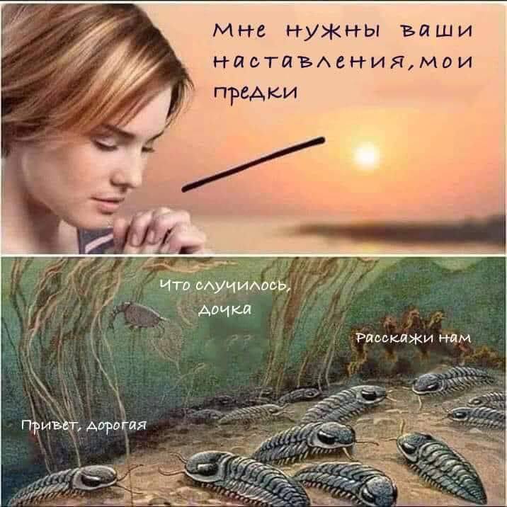 мне нужны ъаши нястявления, мои предки и. hid 4 i 1 нам дорогая ON WEES