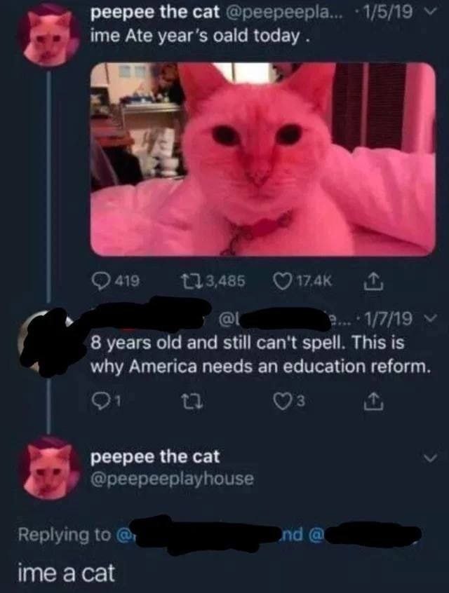 peepee the cat @peepeepla... ime Ate year’s oald today 419 у 8 years old and still can't spell. This is why America needs an education reform. peepee the cat @peepeeplayhouse Replying to ime а cat