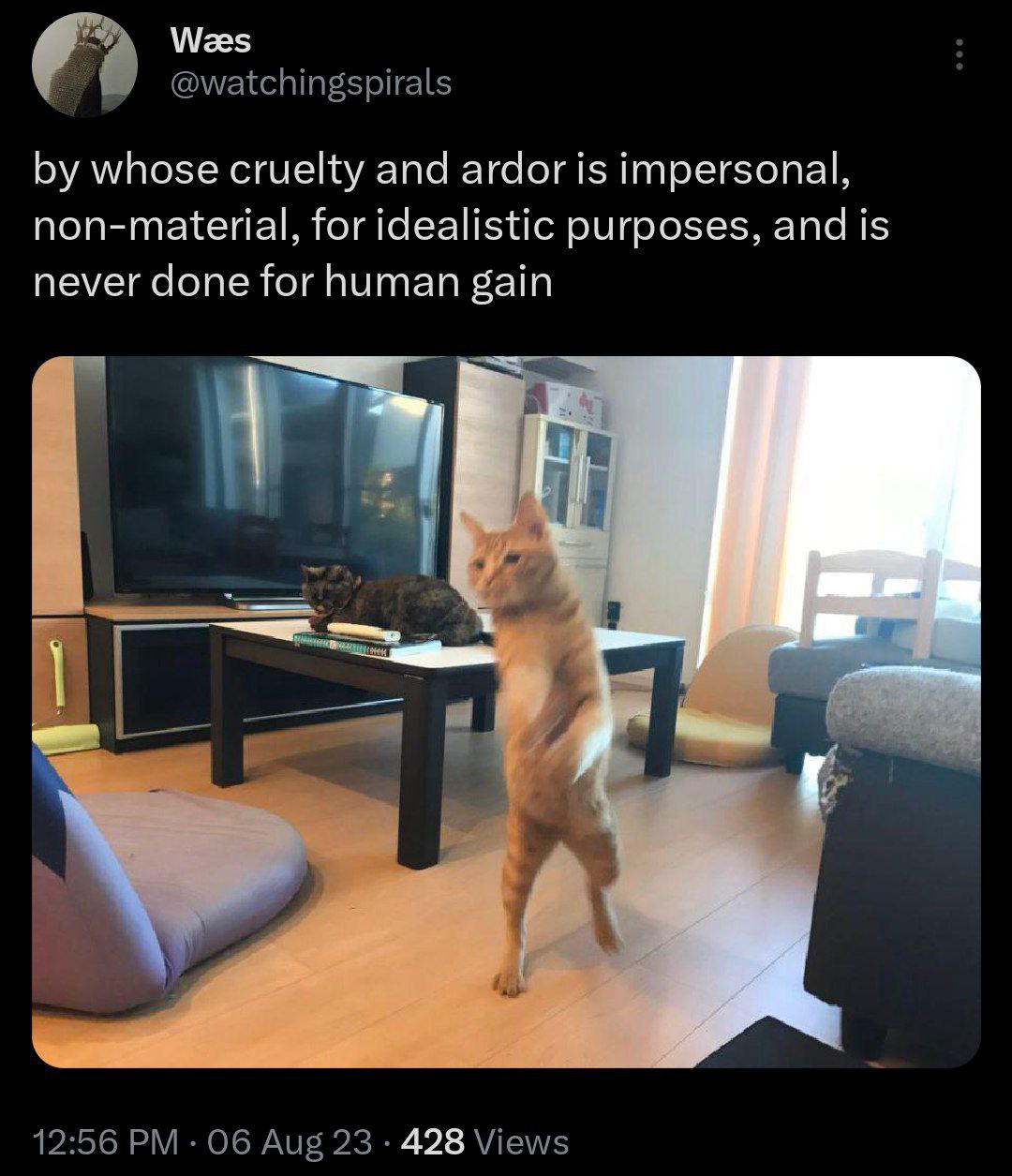 Wees @watchingspirals whose cruelty and ardor is impersonal, non-material, for idealistic purposes, and is never done for human gain 17 12:56 06 Aug 23 428 Views