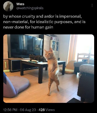 Wees @watchingspirals whose cruelty and ardor is impersonal, non-material, for idealistic purposes, and is never done for human gain 17 12:56 06 Aug 23 428 Views