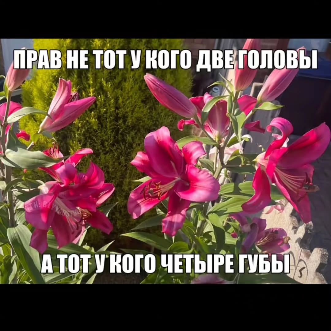 „ПРАВ НЕТОТУ КОГО ДВЕГОЛОВЫ 4 $4 и 1 АТОТУКОГО ЧЕТЫРЕ ГУБЫ.