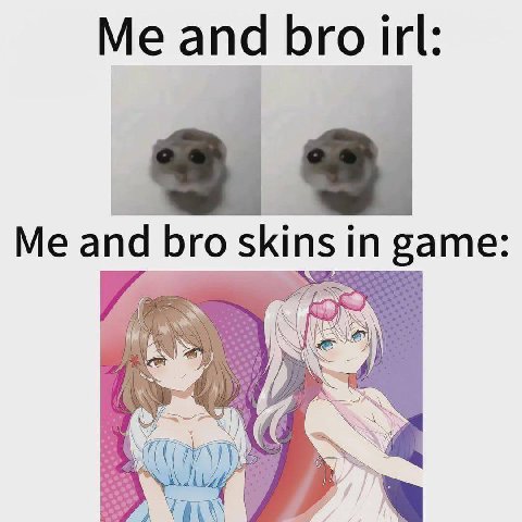 Me and bro irl Me and bro skins i ingame