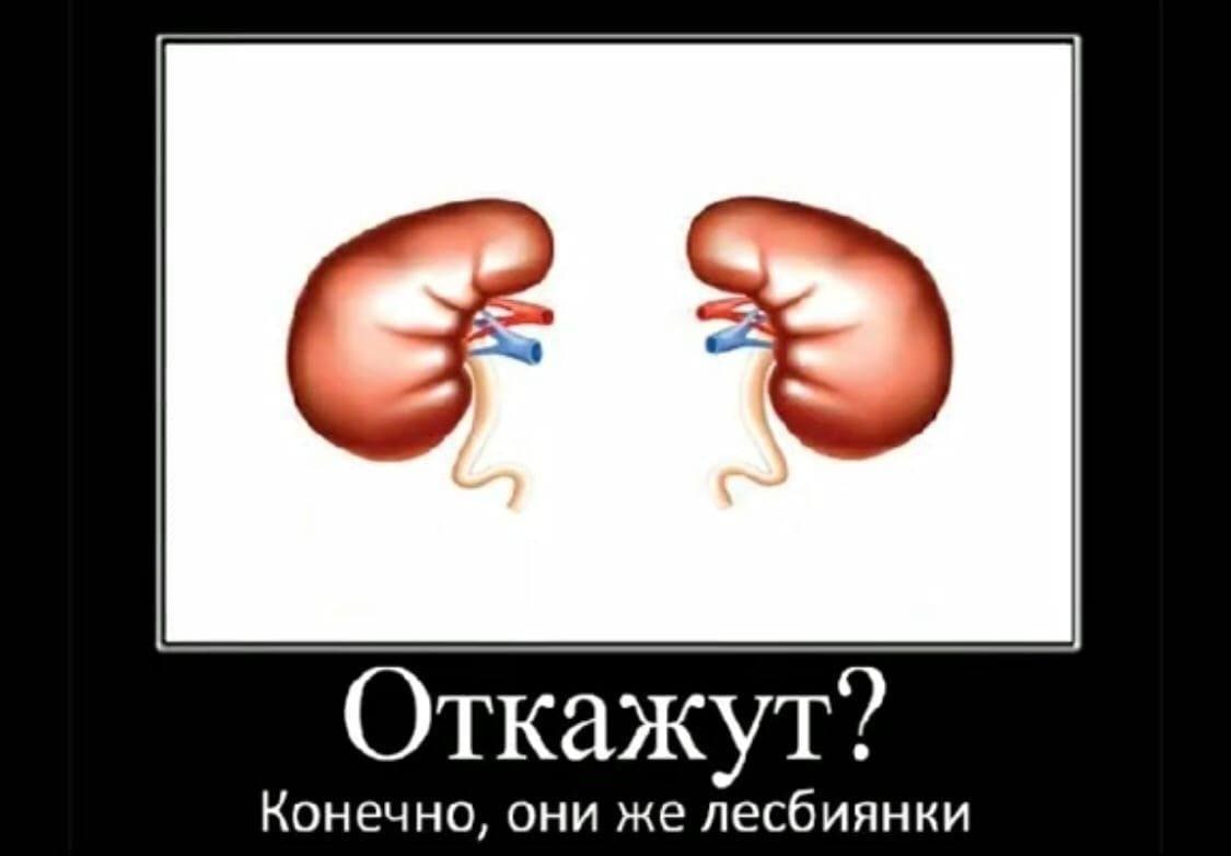 Откажут? Конечно, они же лесбиянки