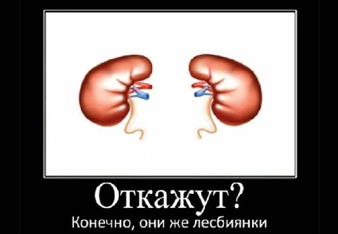 Откажут? Конечно, они же лесбиянки
