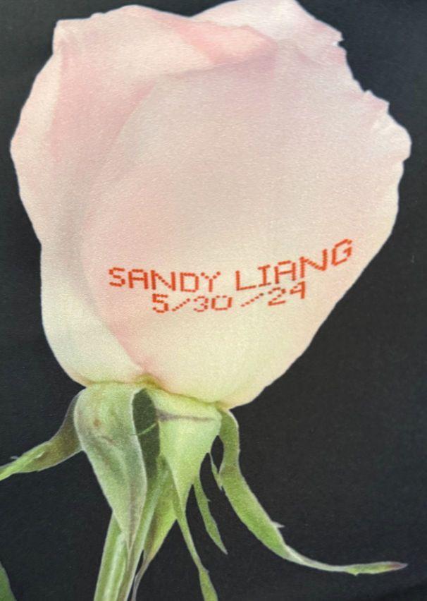 awe SANDY