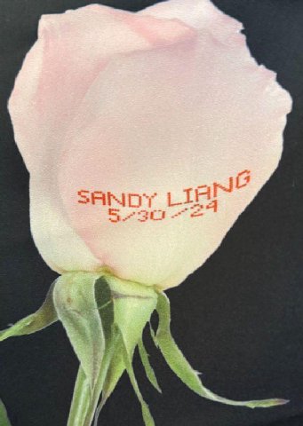 awe SANDY