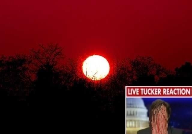 LIVE TUCKER REACTION