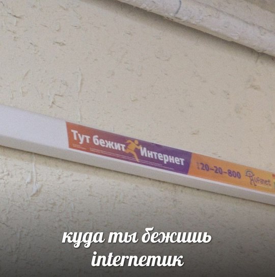 куда ты ицегпетик,