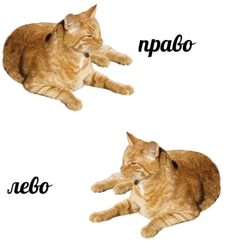 прабо- as