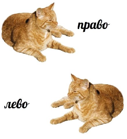 прабо- as