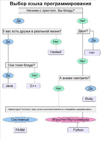 Выбор языка программирования Начнем с простого. Вы блядь? Нет Haskell Her) Они тоже бляди? Ruby Превосходно! Осталось лишь узнать какие приложения вы собираетесь разрабатывать. Игры/Нет/Мультимедиа Py