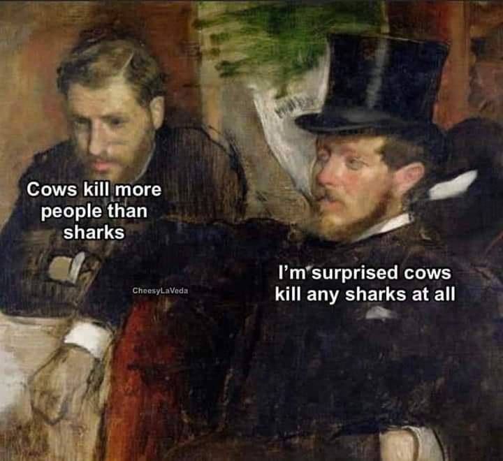 Cows kill more people than sharks Риз surprised cows kill any sharks at all