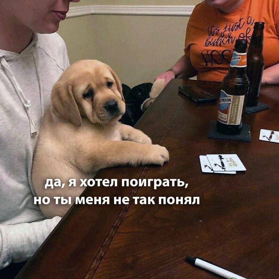 да, A хотел поиграть, но ты меня не так понял