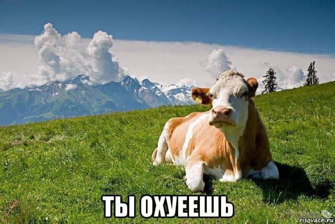 1 В у ТЫ ОХУЕЕШ