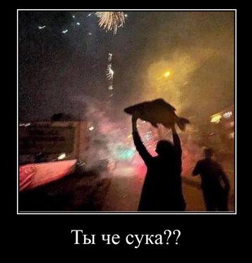 Ты че сука??