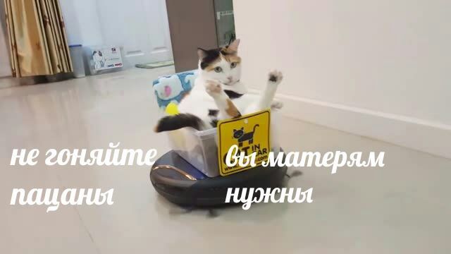 пацаны нужны