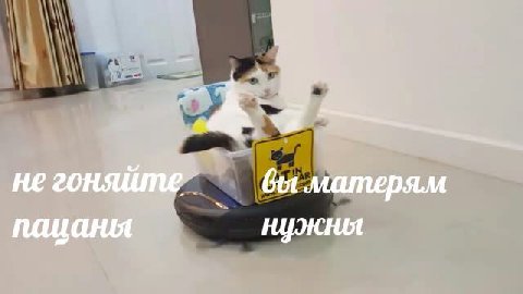 пацаны нужны