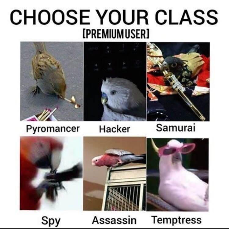 CHOOSE YOUR CLASS [PREMIUMUSER] Pyromancer Samural Зру Assassin Temptress