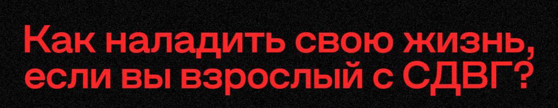 пьяным крыть хуями светова и кашина + раз в неделю удалять все посты из канала + а****ф г****р