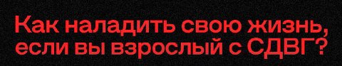 пьяным крыть хуями светова и кашина + раз в неделю удалять все посты из канала + а****ф г****р
