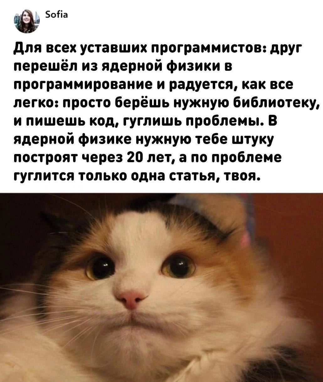 боНа Для всех уставших программистов: друг перешёл из ядерной физики в программирование и радуется, как все легко: просто берёшь нужную библиотеку, и пишешь код, гуглишь проблемы. В ядерной физике нуж