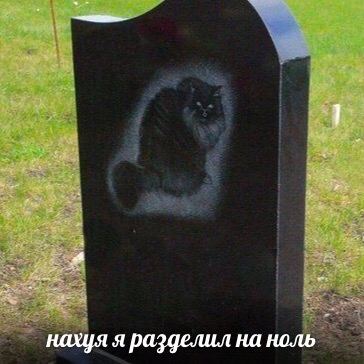 нахуя я разделил на ноль