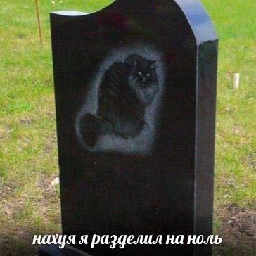 нахуя я разделил на ноль
