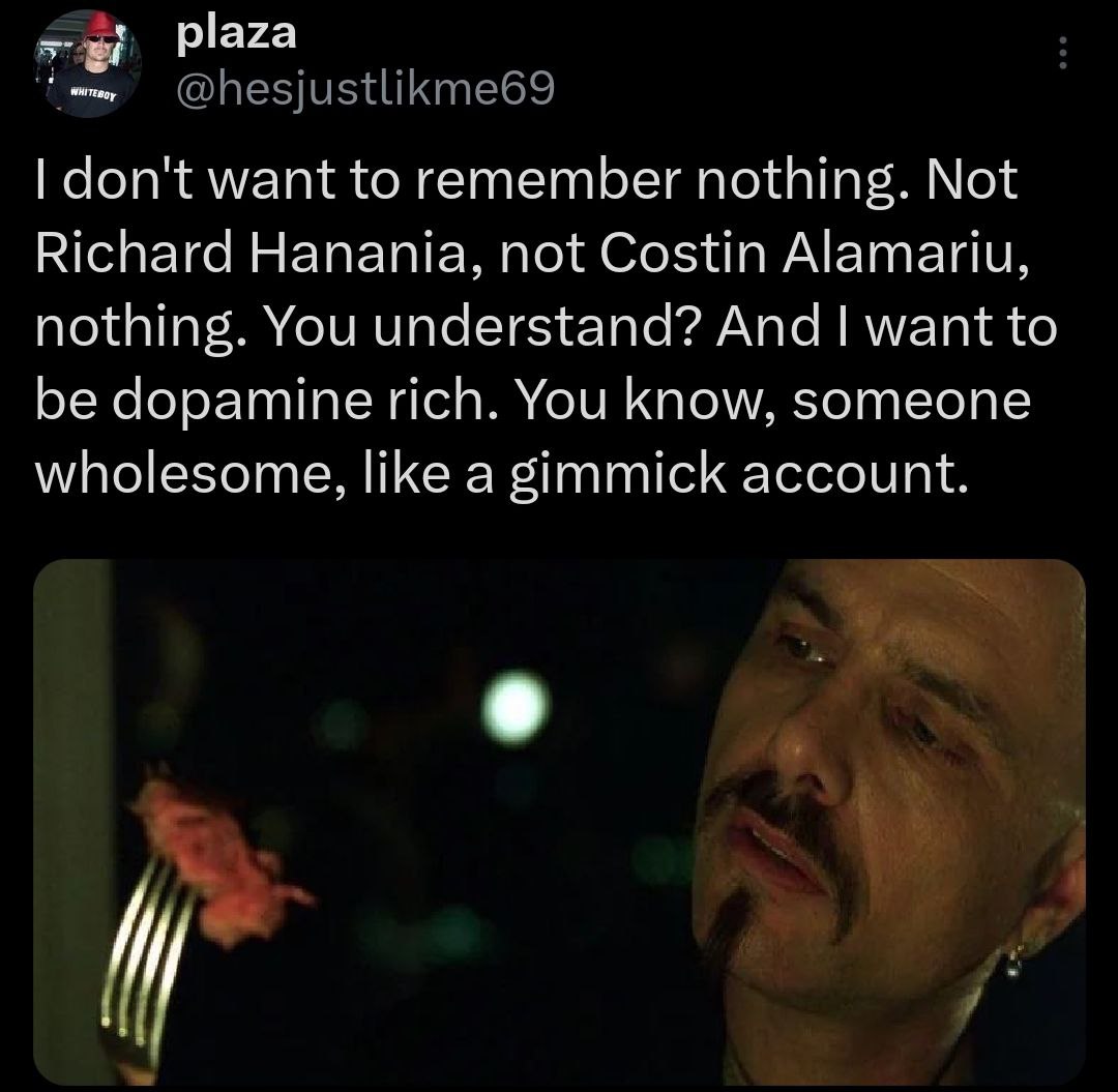 plaza don't want to remember nothing. Not Richard Hanania, not Costin Alamariu, nothing. You understand? And want to be dopamine rich. You know, someone wholesome, like a gimmick account.