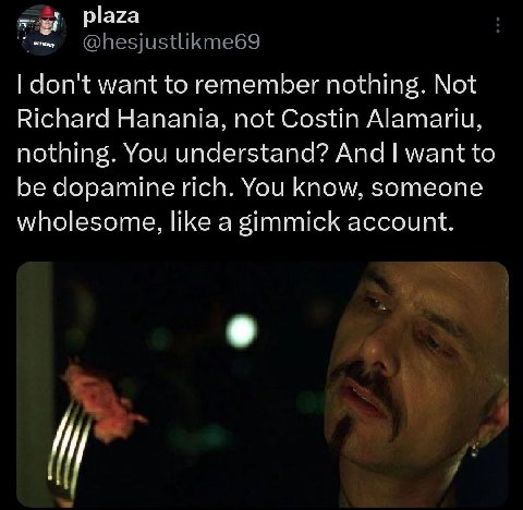 plaza don't want to remember nothing. Not Richard Hanania, not Costin Alamariu, nothing. You understand? And want to be dopamine rich. You know, someone wholesome, like a gimmick account.