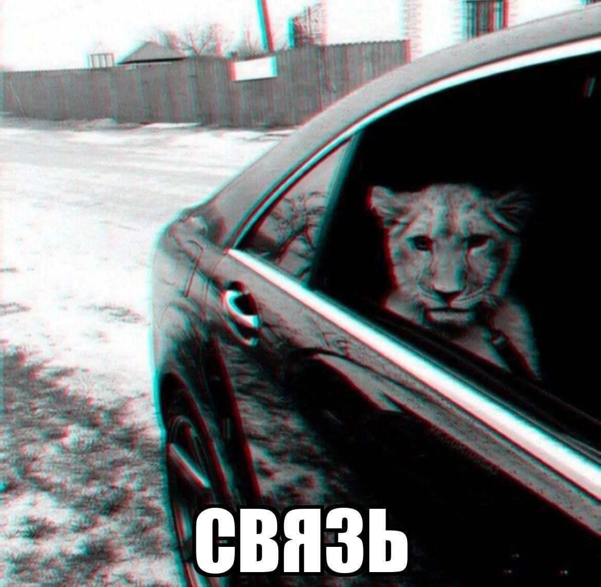 и Я СВЯЗЬ