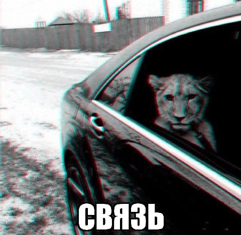 и Я СВЯЗЬ