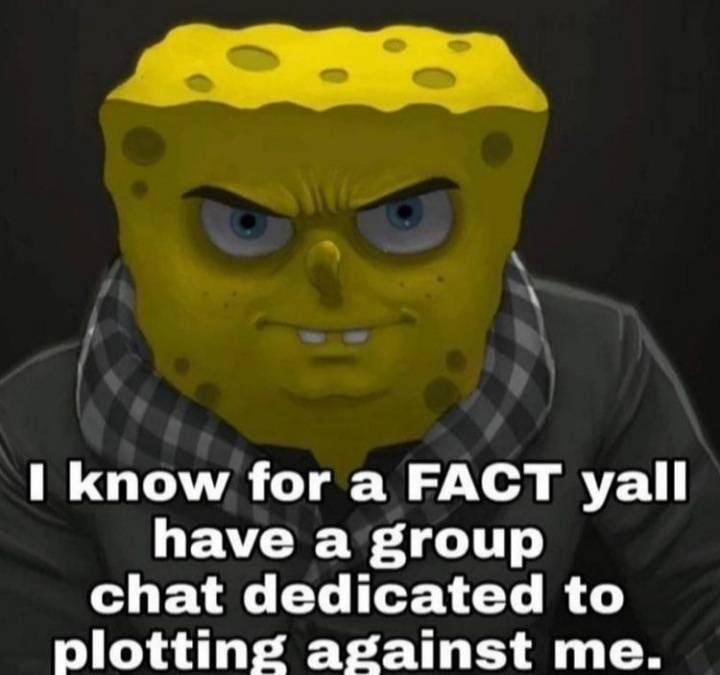 know for а FACT yall have a group chat dedicated to plotting against me.