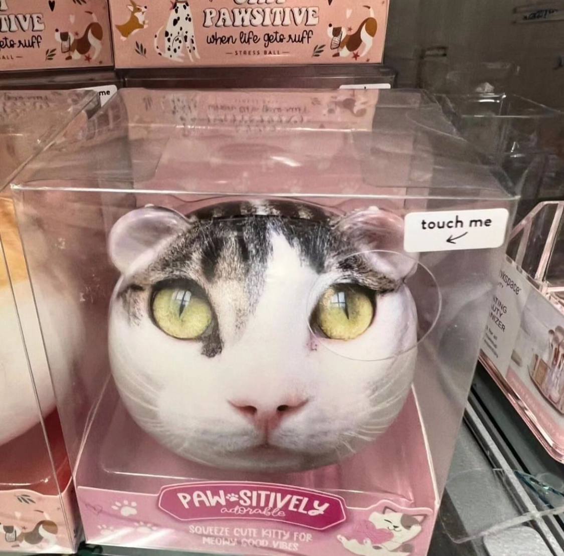 PAWSITIVE ths a for