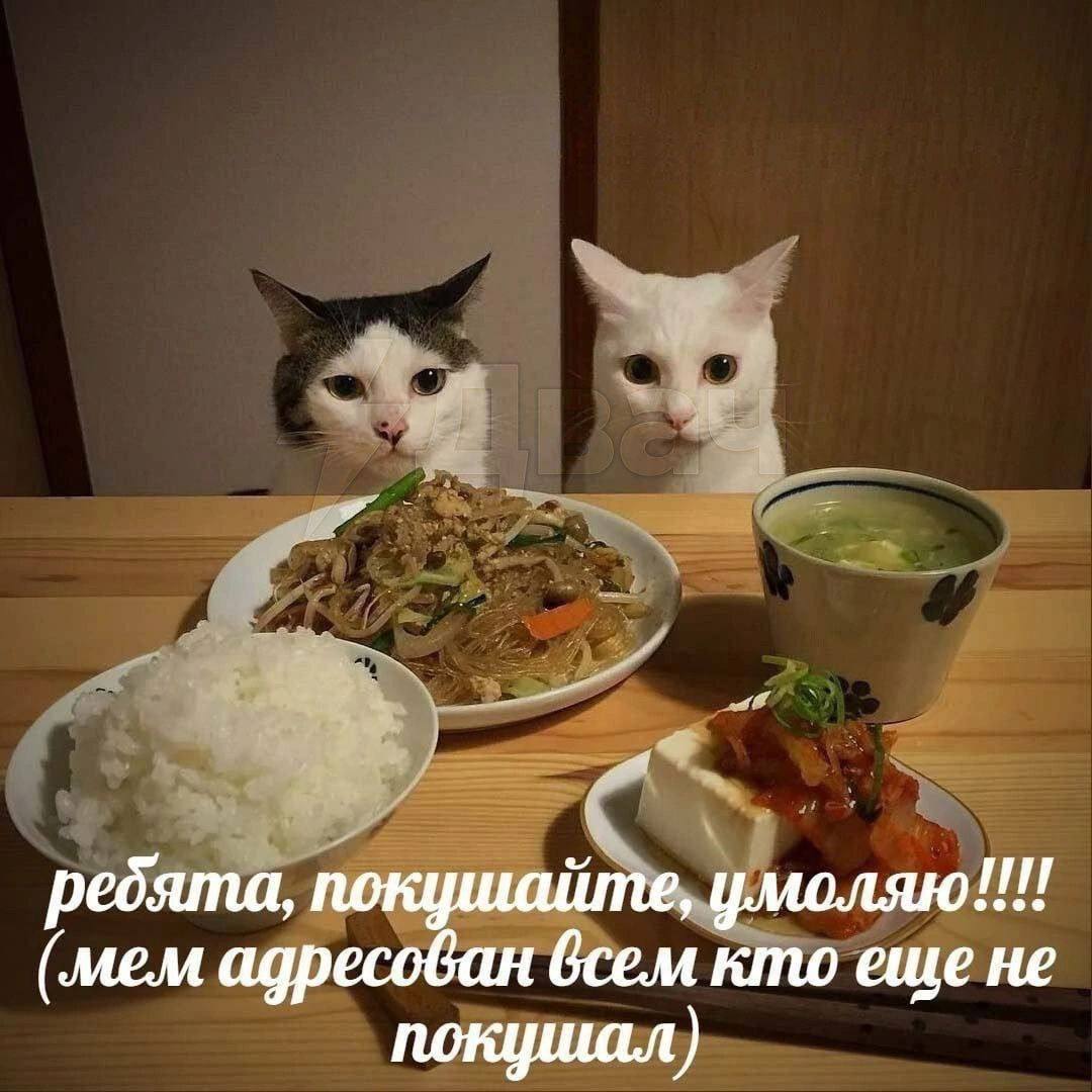 ребята, покушайте, умоляю!!! (мем адресован всем кто еще не покушал)