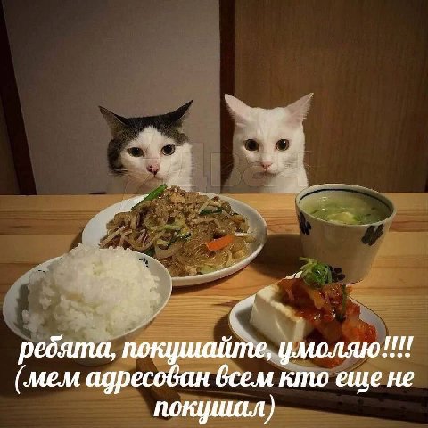 ребята, покушайте, умоляю!!! (мем адресован всем кто еще не покушал)