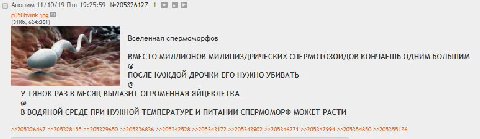Аноним 11/10/19 Птн 19:25:59 №205326127 1 8 p050hvmk.jpg Вселенная спермоморфов ВМЕСТО МИЛЛИОНОВ МИЛИПИЗДРИЧЕСКИХ СПЕРМОТОЗОИДОВ КОНЧАЕШЬ ОДНИМ БОЛЬШИМ ПОСЛЕ КАЖДОЙ ДРОЧКИ ЕГО НУЖНО УБИВАТЬ TAHOK РАЗ 