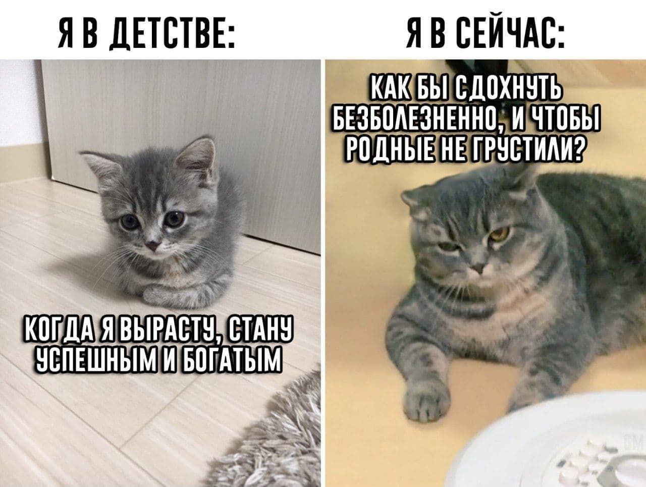 ДЕТСТВЕ: СЕЙЧАС: РОДНЫЕНЕГРУСТИЛИ? 4 К 7 ВЫРАСТУЖСТАНУ