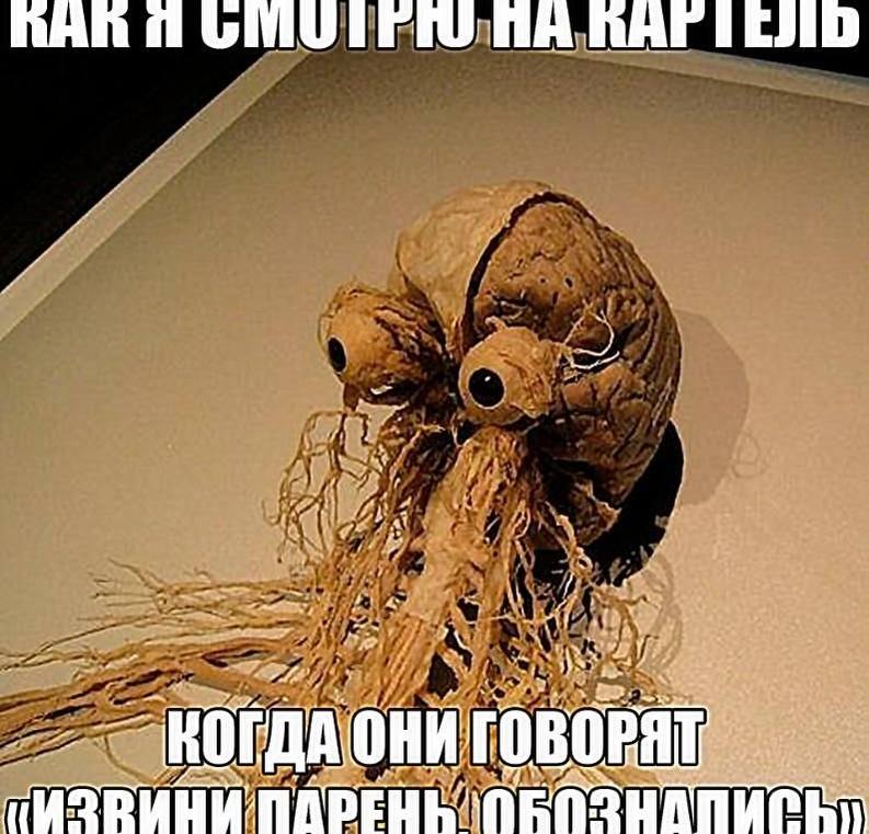 и