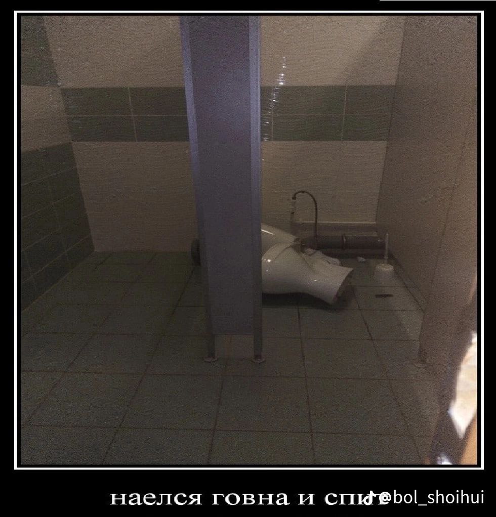 наелся говна и