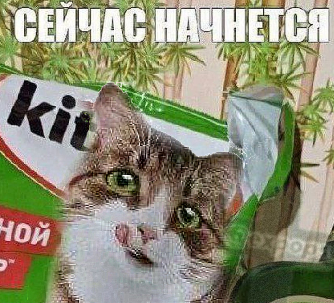 4 НЕТ Я и у a {Я Ran a 1-1