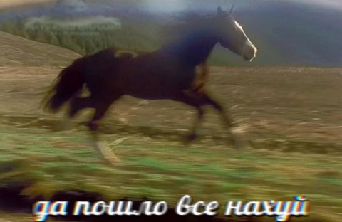 нахуй