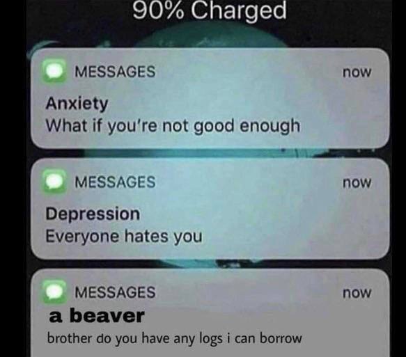 агдес MESSAGES now Anxiety What if you're not good enough MESSAGES now Depression Everyone hates you MESSAGES now a beaver brother you have any logs i can borrow